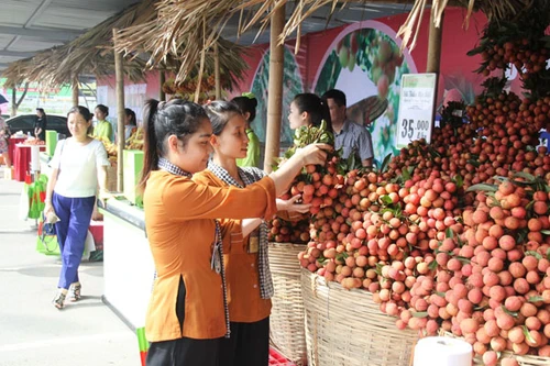 35.000 đồng/kg, vải thiều Bắc Giang vẫn "cháy hàng"