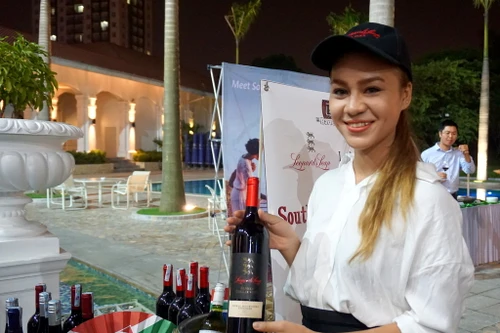 Nếm thử rượu vang hảo hạng từ đất nước Nam Phi