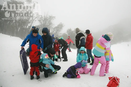 Bảy ngày vòng quanh Australia (3): Lên đỉnh núi ngắm tuyết rơi