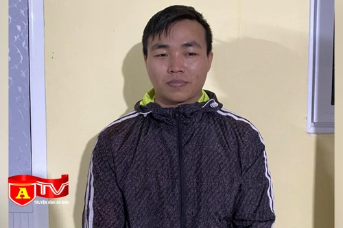 Tạm giữ hình sự lái xe gây tai nạn giao thông rồi bỏ trốn