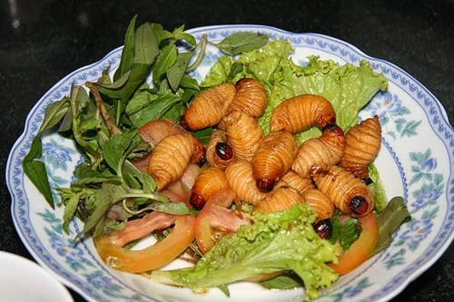 Phạt 6 triệu đồng đối với vườn ẩm thực kinh doanh món thức ăn là đuông dừa