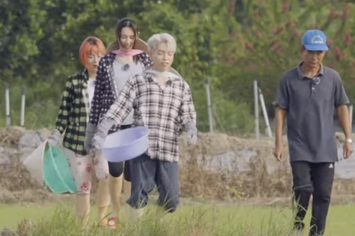 Hoa hậu Thùy Tiên rủ Đức Phúc làm nông dân trong series "Nong dân"