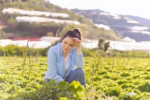 Vì sao Lý Nhã Kỳ vắng mặt tại LHP Cannes 2023?