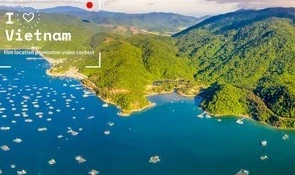 Cuộc thi clip trực tuyến "Tôi yêu Việt Nam"