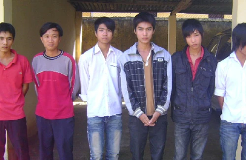 Bắt 3 nhóm, 10 đối tượng chuyên trộm cắp cây cảnh