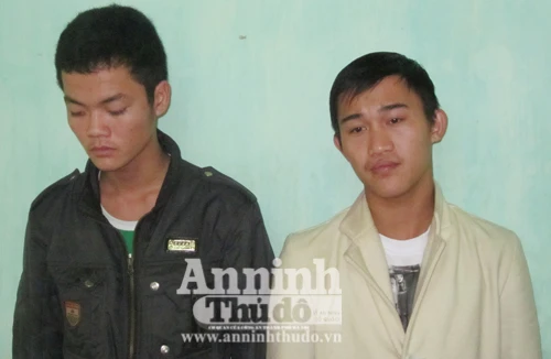 Trộm tiền bà chủ để “du xuân”