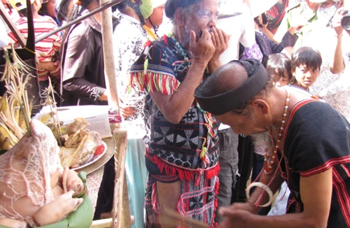 Huyền bí chất kịch độc - "thần hộ mệnh" Bhlih