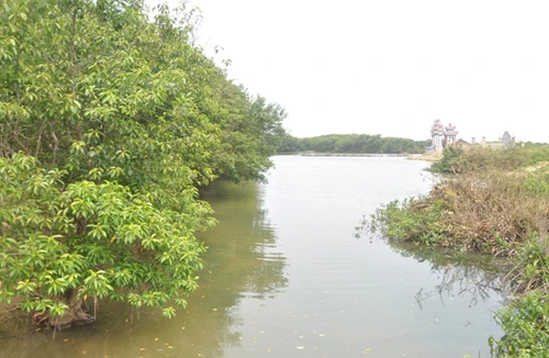 Kỳ tích “phục sinh” Rú Chá của lão nông Nguyễn Ngọc Đáp