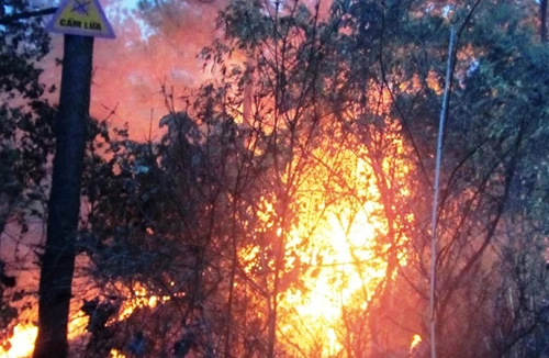 Rừng thông núi Dũng Quyết bốc cháy dữ dội