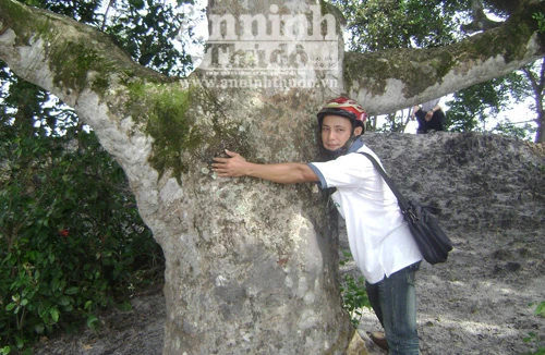 Bí ẩn khu rừng nguyên sinh giữa rú cát