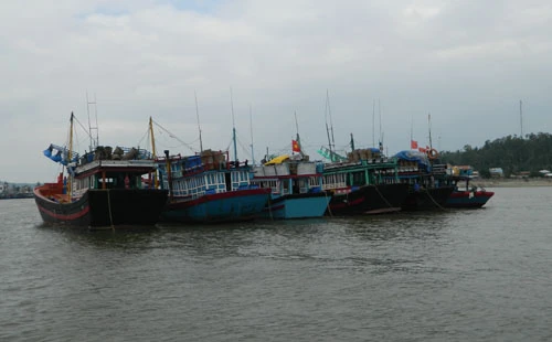 Quảng Ngãi: Một tàu cá bị tàu hàng tông chìm trên biển