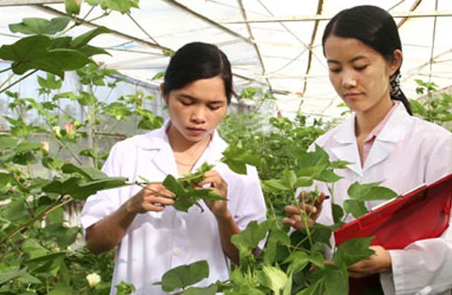 “Nhân tố mới thời đại Hồ Chí Minh”