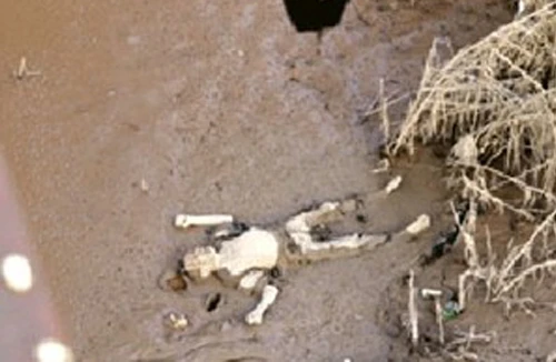 Sau 40 năm, lật lại vụ án 2 nữ y tá bị sát hại