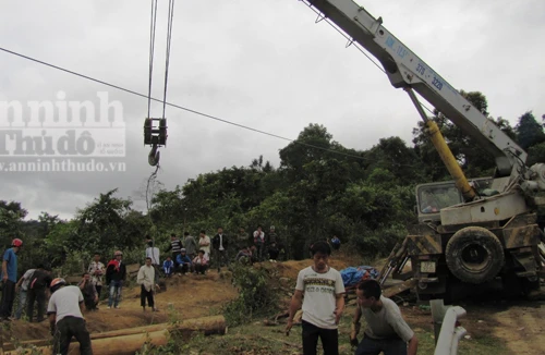 Bắt khẩn cấp thêm 1 trạm trưởng kiểm lâm bảo kê gỗ lậu