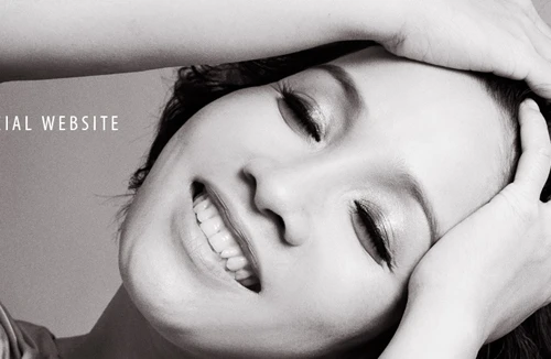 Mỹ Linh chơi “độc” với đĩa... than