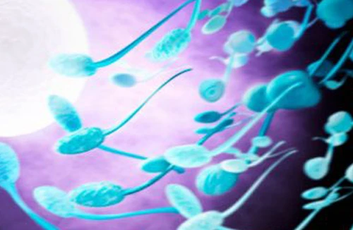 Chất diệt tinh binh