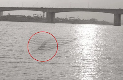 "Quái vật sông Hồng" chỉ là trò bịp photoshop