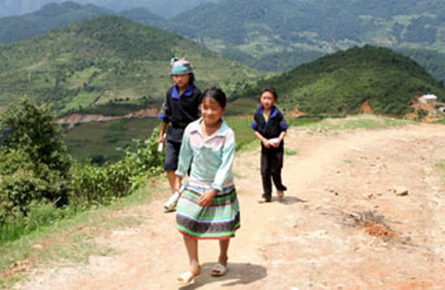 Ăn dòi trong bụng cá - bạn có dám không?