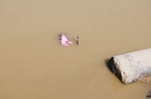 Xác người đàn ông nổi trên sông Hàn