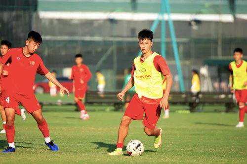 Cơ hội nào cho Việt Nam tại FIFA U20 World Cup 2023?