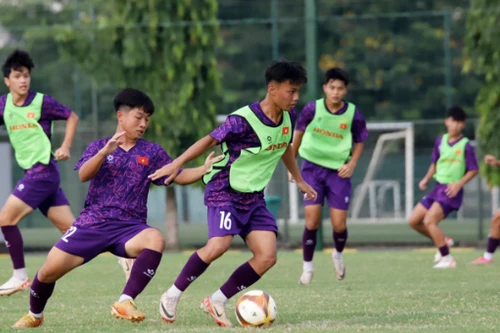 HLV Brazil chốt 23 tuyển thủ U16 Việt Nam đấu Trung Quốc, Nhật Bản