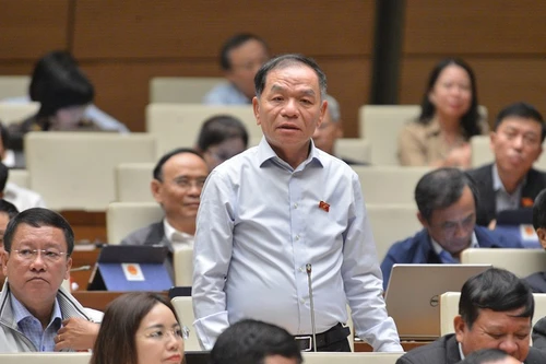 ĐBQH Lê Thanh Vân: "Không nên vì có lũ lụt mà đổ hết lỗi cho thủy điện"