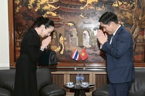 Madam Pang mong người dân Việt Nam "thông cảm và tha thứ"