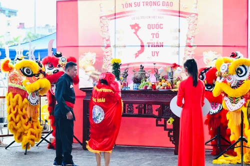 Tôn vinh và lan tỏa tinh hoa võ cổ truyền Việt Nam