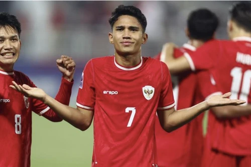 Thua trận, dân mạng Indonesia quay ra chỉ trích "gà nhà"