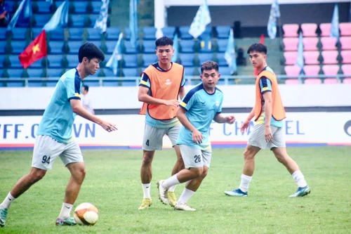 VFF lên tiếng vụ CLB Phú Thọ dàn xếp tỉ số