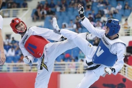 44 đoàn tham dự giải taekwondo các lứa tuổi trẻ quốc gia – CJ 2024 