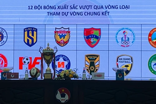 12 đội tranh vô địch Giải U15 quốc gia - Cúp Acecook 2025