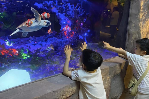 Mở cửa Thuỷ cung không nước đầu tiên tại Việt Nam