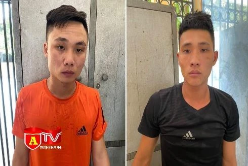 Lừa đảo tuyển dụng lao động để trộm cắp tài sản