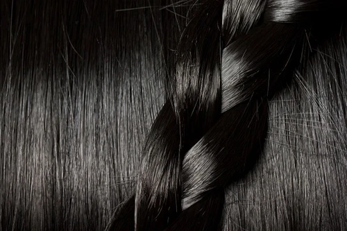 Dịch vụ lạ lùng… nuôi chấy trong tóc