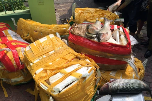 3 lần bị tóm khi chở thủy sản lậu về Hà Nội