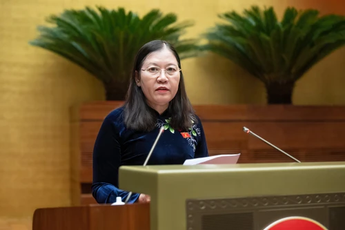 Năm 2023 xuất hiện nhiều thủ đoạn phạm tội mới