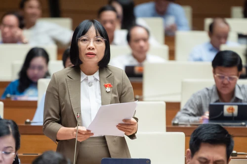 ĐBQH: Lấy mục tiêu giải ngân là đích đến sẽ dẫn tới sai phạm, gây lãng phí nguồn lực