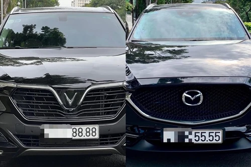 Trúng đấu giá biển số xe nhưng bỏ cọc có được tham gia đấu giá lại?