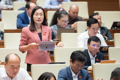 ĐBQH: Cần khấu trừ tiền nợ ở ngân hàng, 'bêu' tên đơn vị nợ bảo hiểm xã hội 