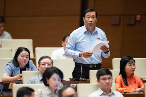 Đại biểu Quốc hội đề nghị bổ sung quy định bồi thường thiệt hại tài sản gắn liền với đất