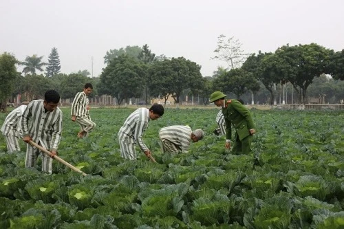 Sắp tới, người chấp hành xong án phạt tù được vay tới 100 triệu đồng để kinh doanh
