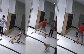 Chủ chó hành hung người cha bảo vệ con sẽ bị phạt tiền hay xử lý hình sự?