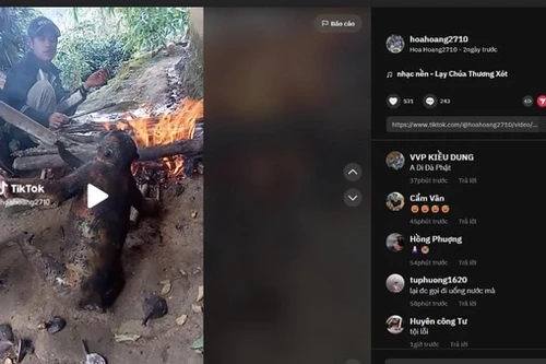 Giết khỉ khoe TikTok có thể phải ngồi tù tới 12 năm?