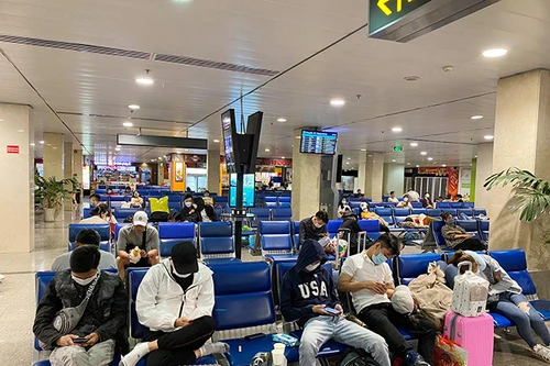 Sau vụ tiếp viên hàng không 'xách' ma túy: Người 'cầm hộ' hàng cấm rất khó chứng minh mình vô tội 