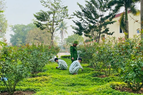 Những phạm nhân nào được chọn thí điểm lao động ngoài trại giam?