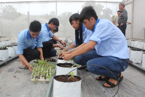 Bằng tốt nghiệp trung cấp chuyên cấp có thể thay thế bằng tốt nghiệp THPT