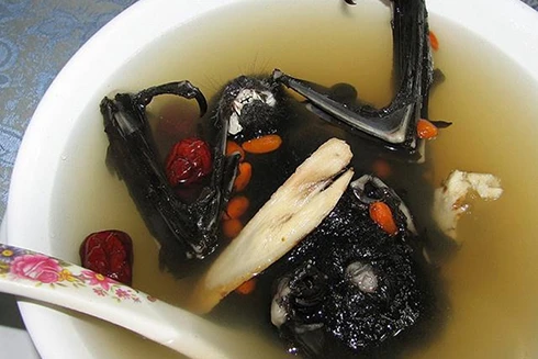 [ẢNH] Những đặc sản nổi tiếng nhưng tiềm ẩn nguy cơ gây chết người