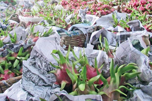 [ẢNH] Các mặt hàng nông sản trái cây Việt "lao đao" vì dịch virus corona