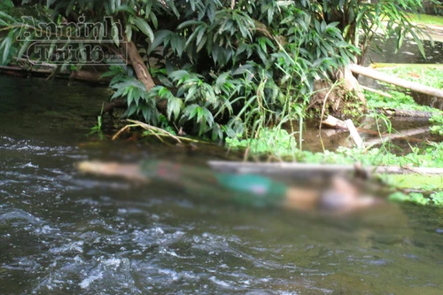 Vụ sát hại 4 người chấn động ở Nghệ An: Ra tay tàn độc vì chuyện cỏn con